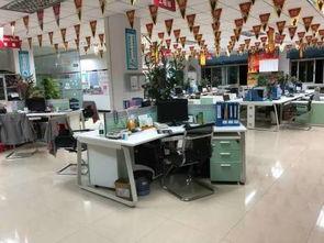 爆料叮当办公室视频播放,揭秘日常办公瞬间