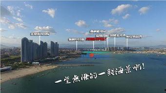 厦门楼市 爆料最新消息,揭秘热点区域价格走势与政策动向  第2张